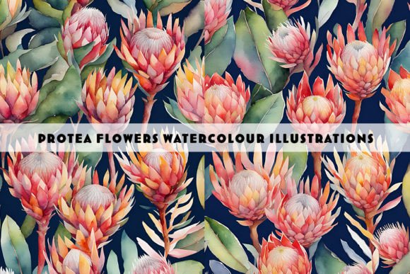 Stunning Protea Flowers Watercolour Duo for Creative Projects
